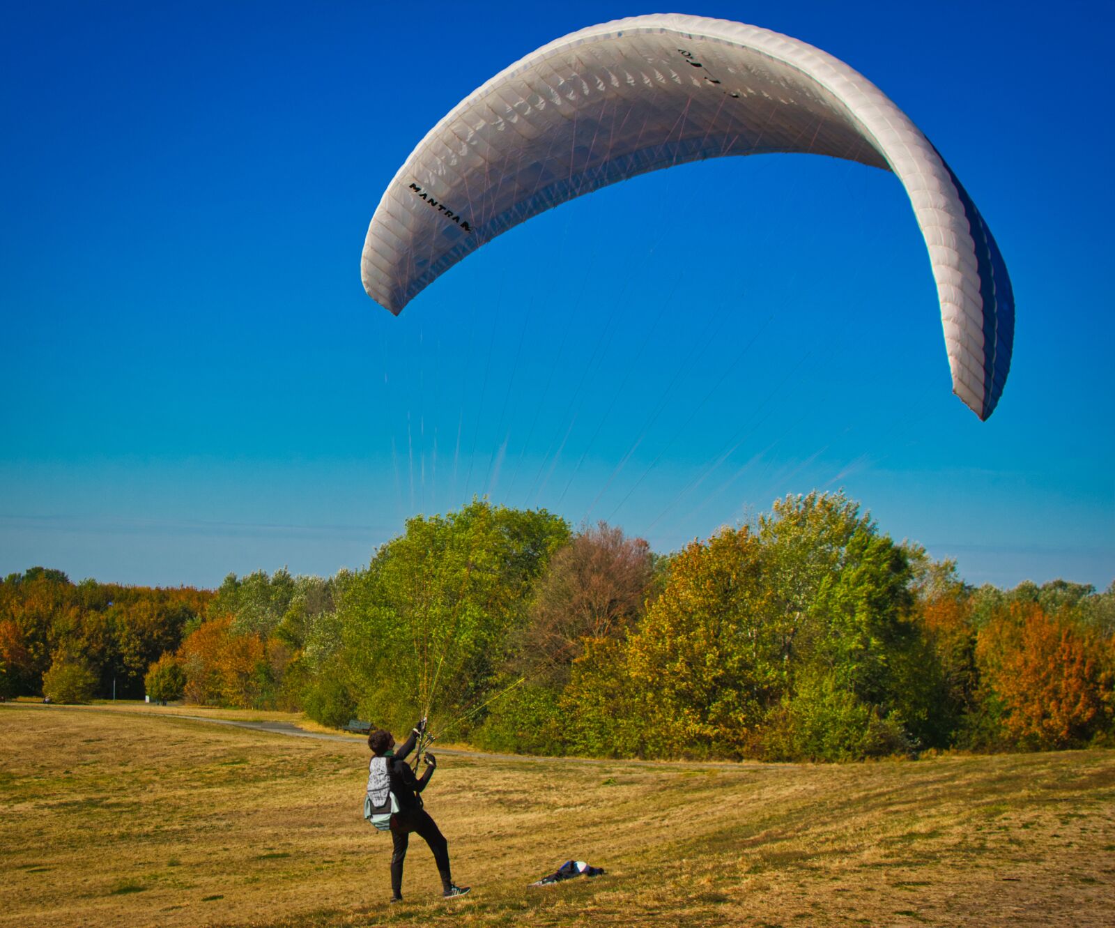 Nikon D5300 sample photo. Paraglider, wind, courageous photography