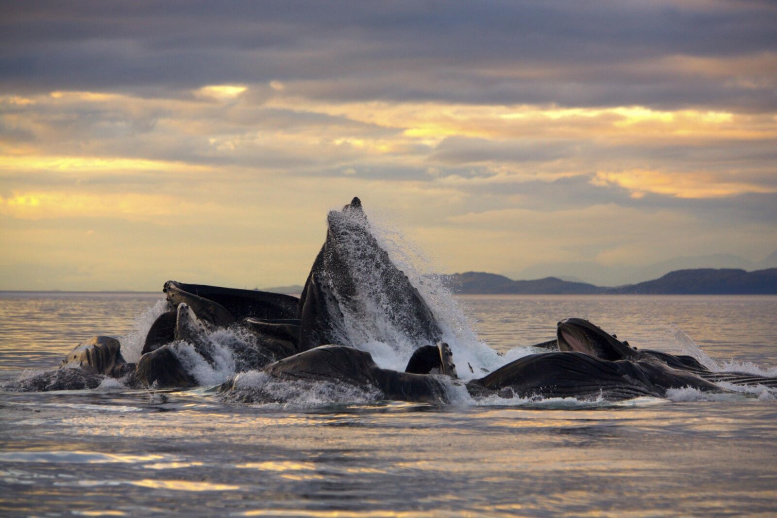 Canon EOS 5D sample photo. Landscape, mar, nature photography