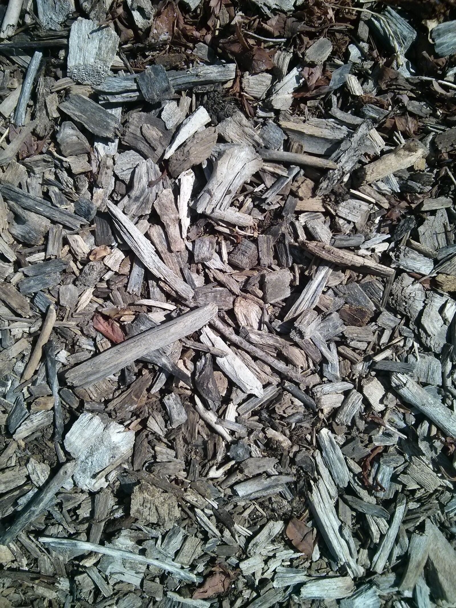 LG Nexus 4 sample photo. Wood chips, wood, bark photography