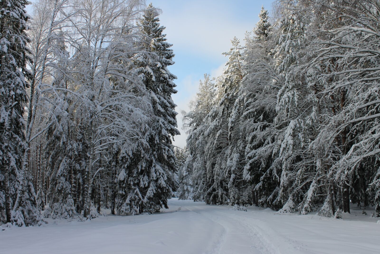Canon EOS 1100D (EOS Rebel T3 / EOS Kiss X50) sample photo. Winter road, winter landscape photography