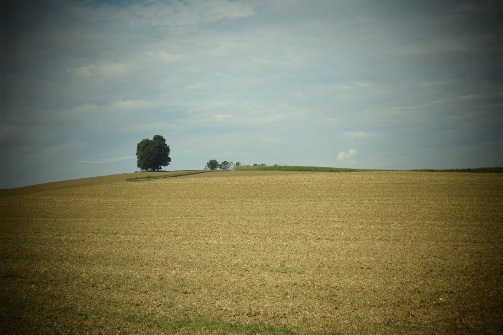 Nikon D3300 sample photo. Landscape, nature, tree photography