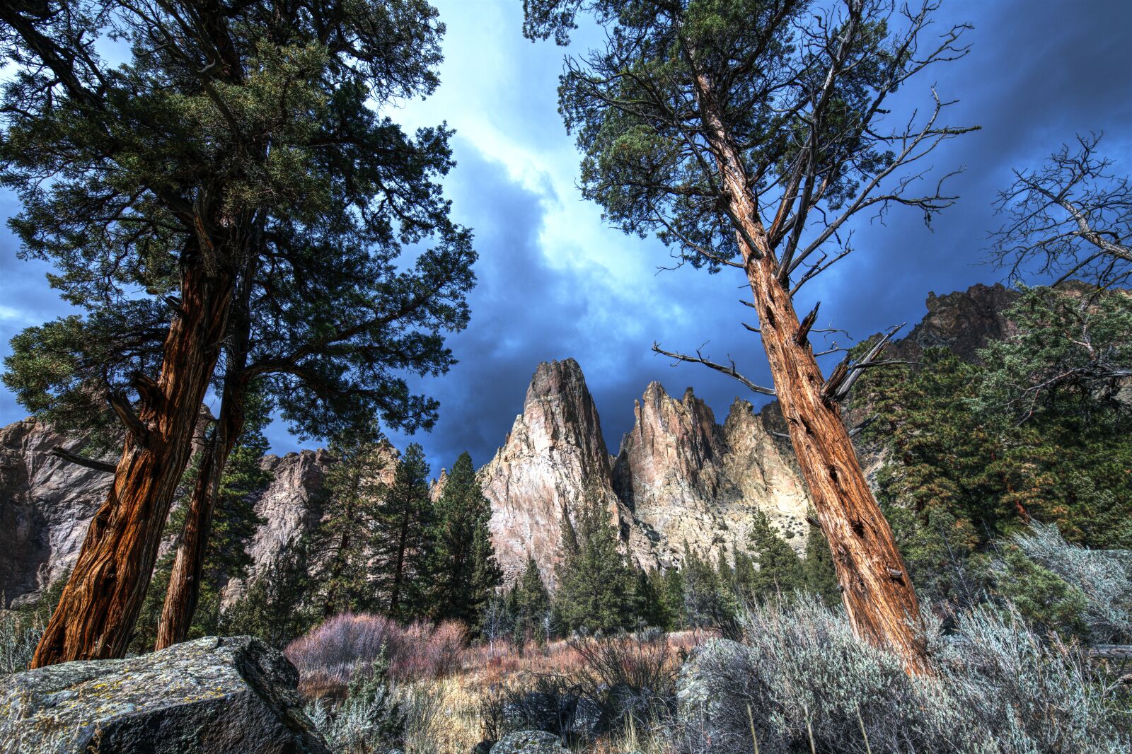 Nikon D850 sample photo. Smith rock, nature, trees photography