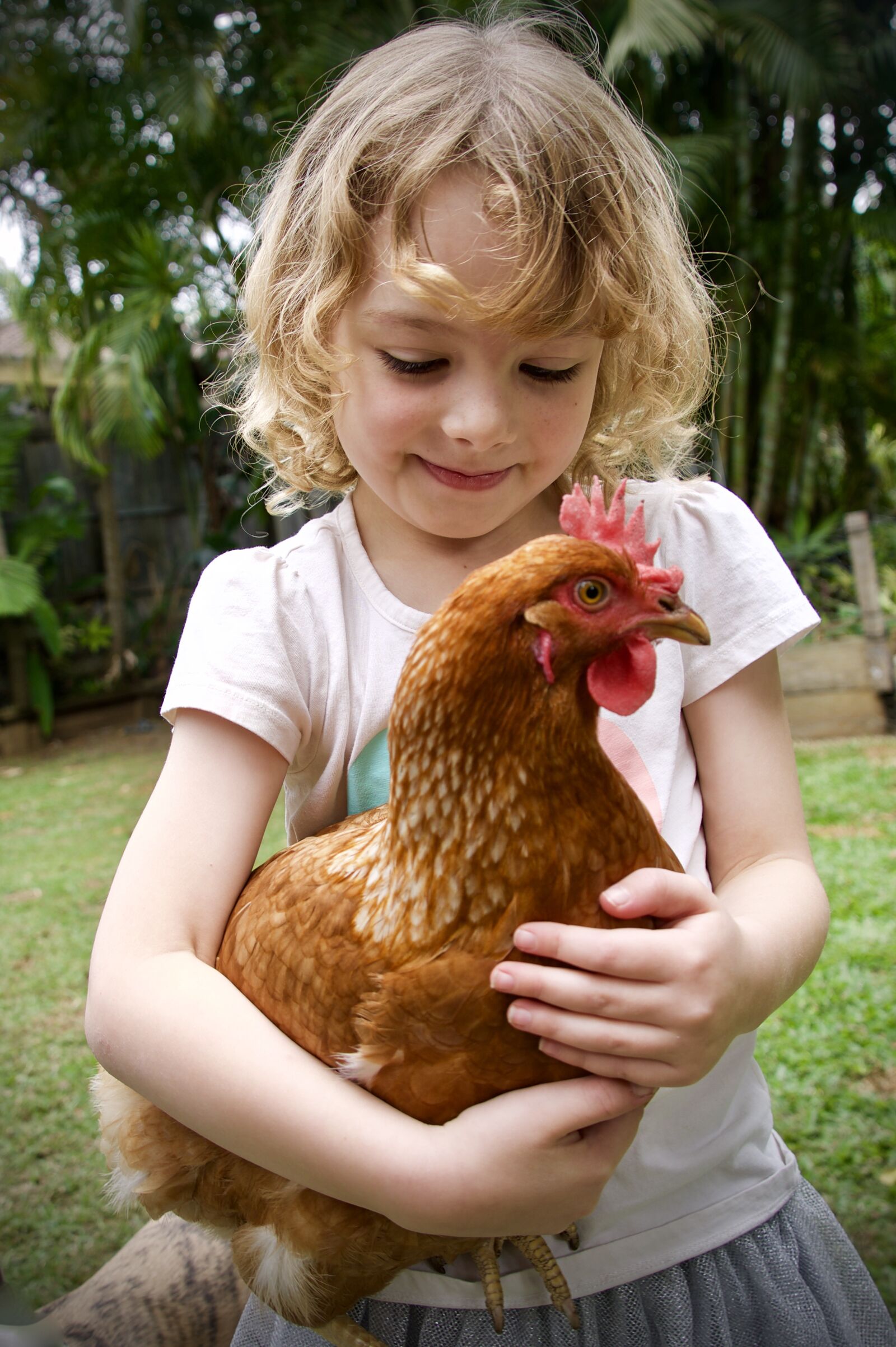 Sony a6500 sample photo. Hen, child, sweet photography