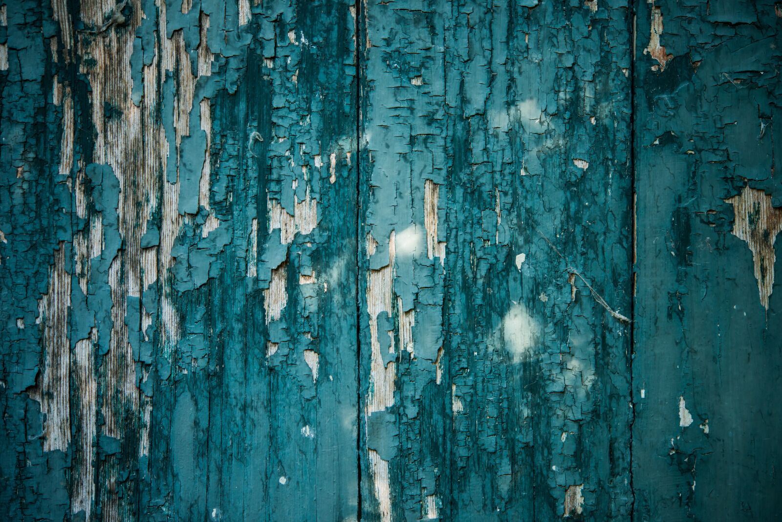Nikon D800 sample photo. Texture, peeling paint, background photography