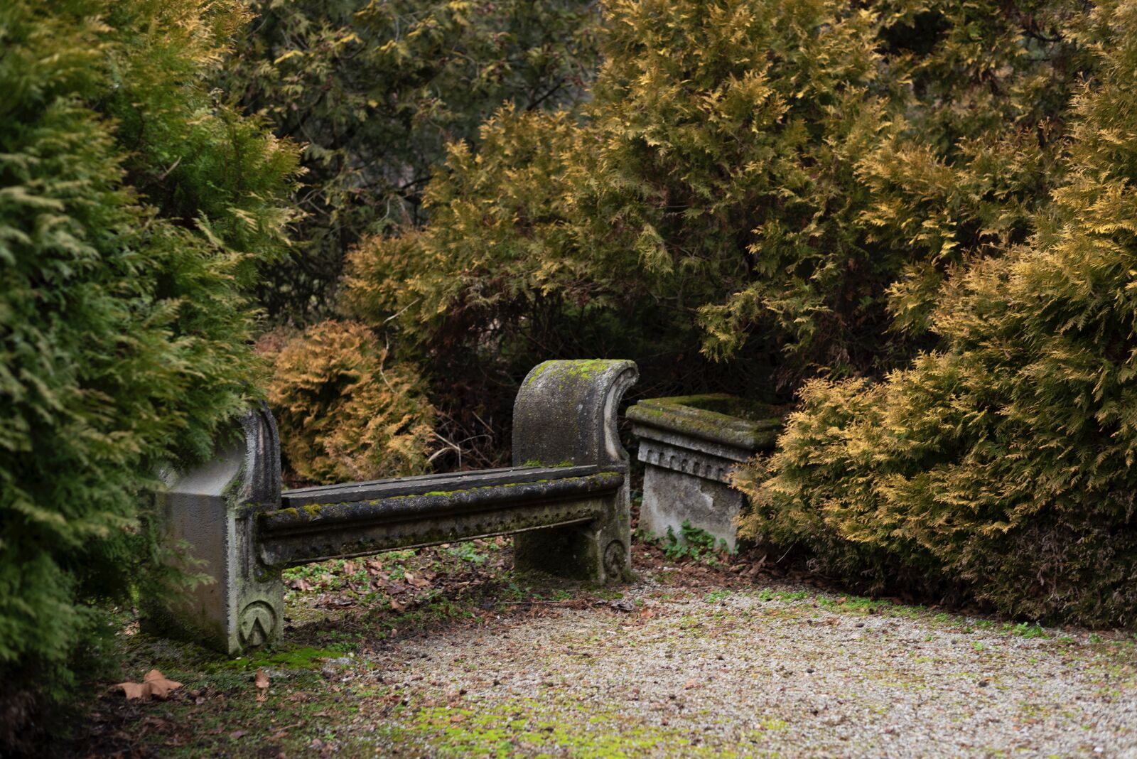 Nikon D750 sample photo. Bench, park, nature photography