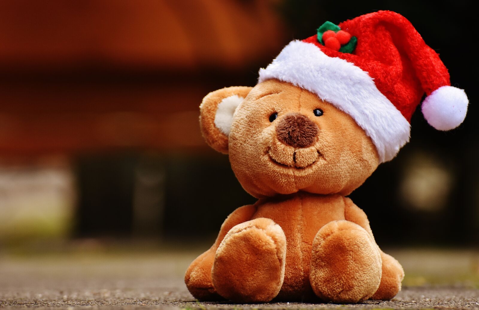 Nikon D7200 sample photo. Christmas, teddy, soft toy photography