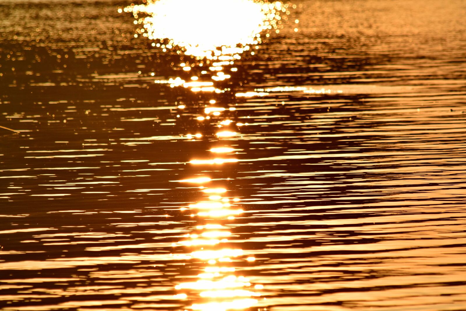 Nikon D5500 sample photo. Ocean, reflection, sunrays, sunrise photography