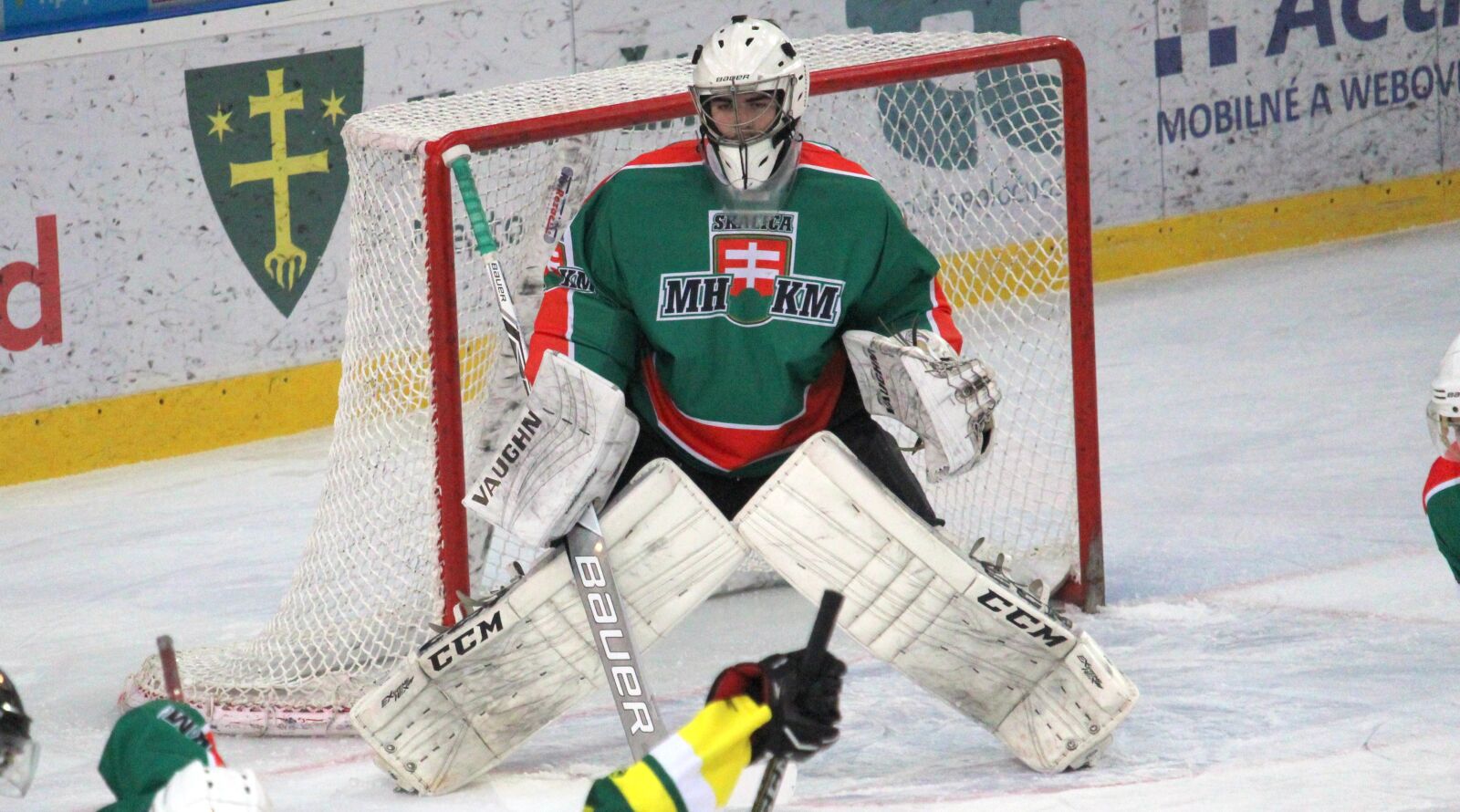 Canon EF-S 55-250mm F4-5.6 IS STM sample photo. Goalkeeper, hockey, stadium photography