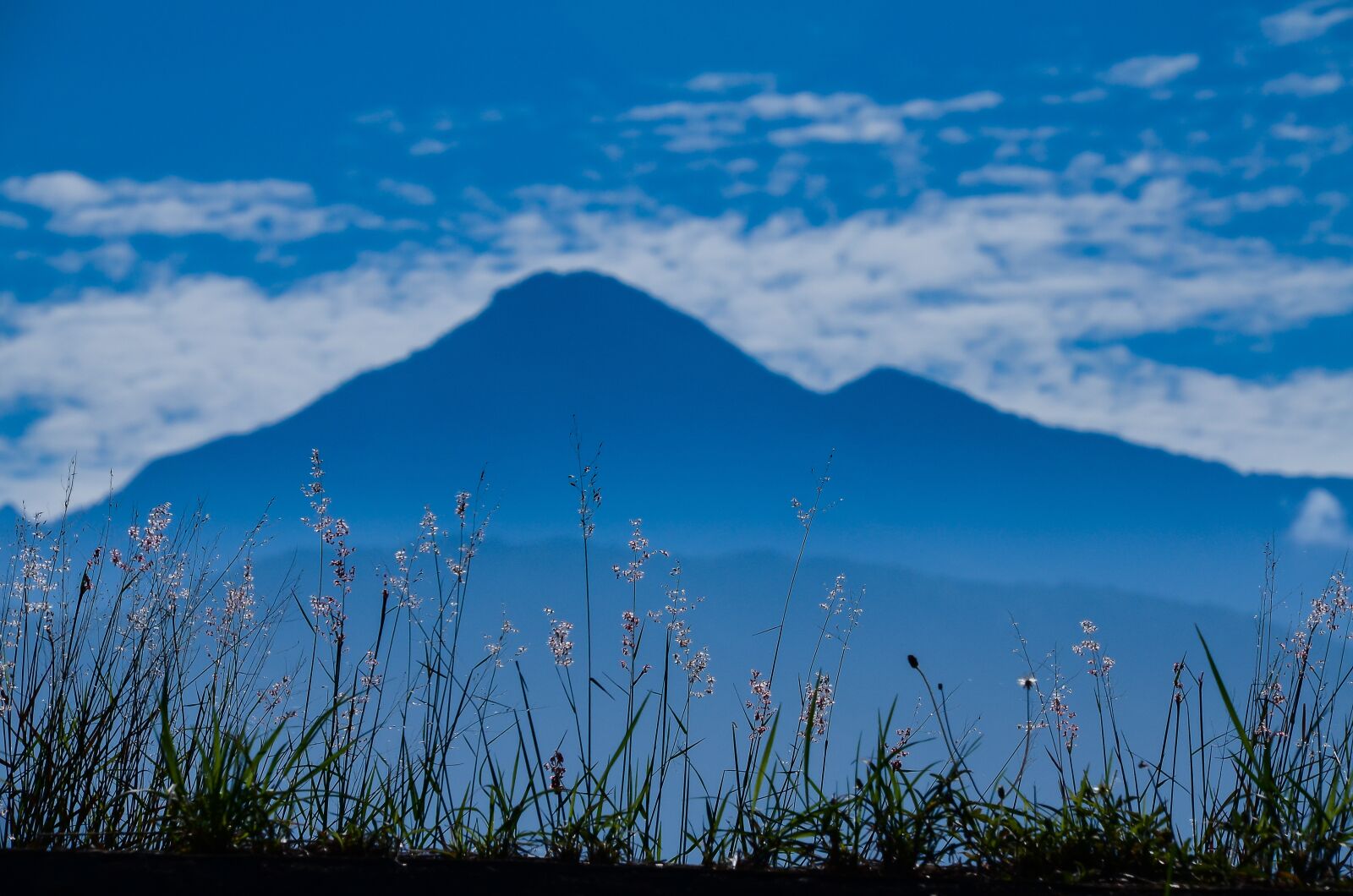 Nikon D7000 sample photo. Screen east central mountain photography