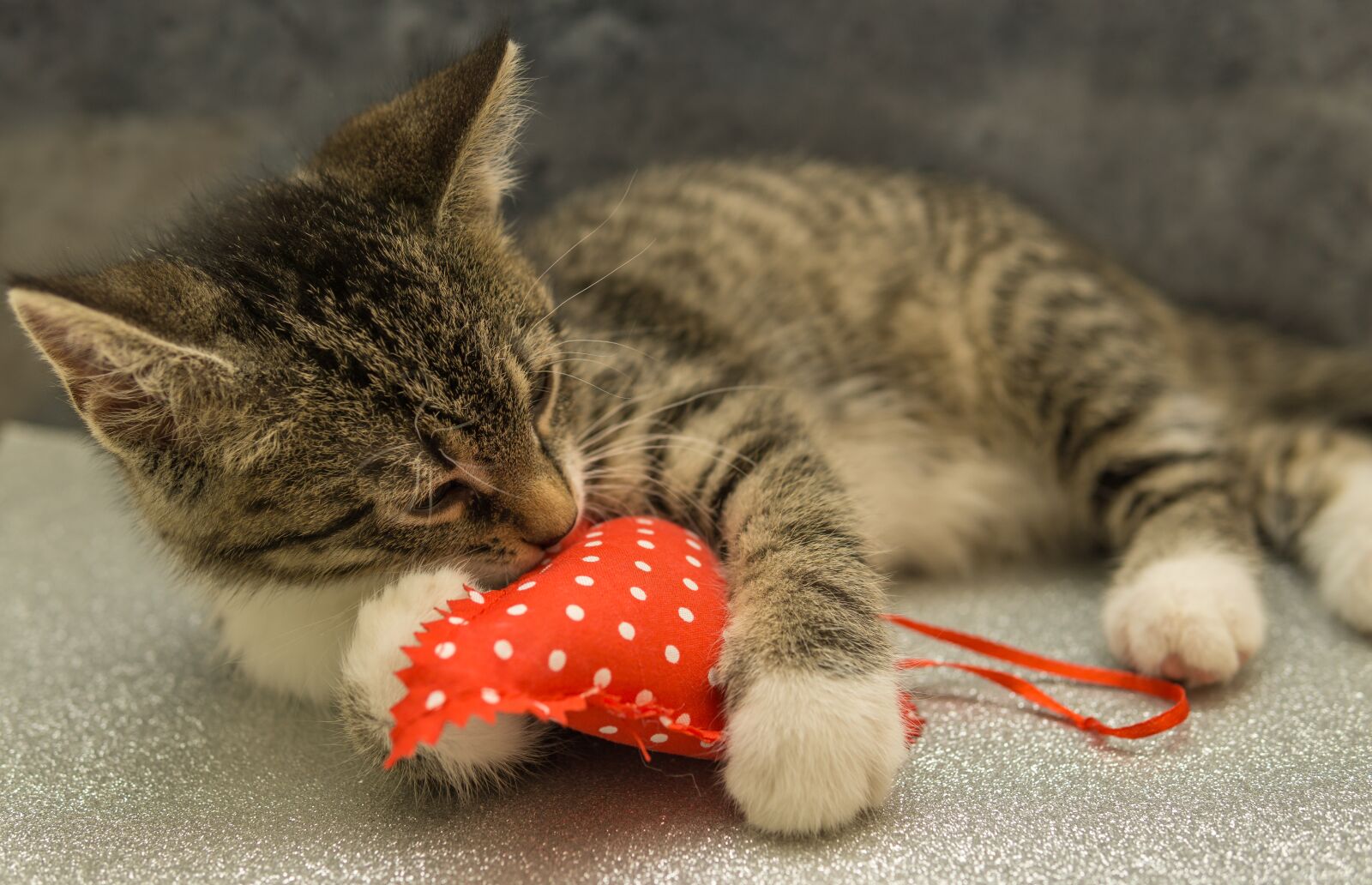 30mm F1.4 DC DN | Contemporary 016 sample photo. Heart, valentine, love photography