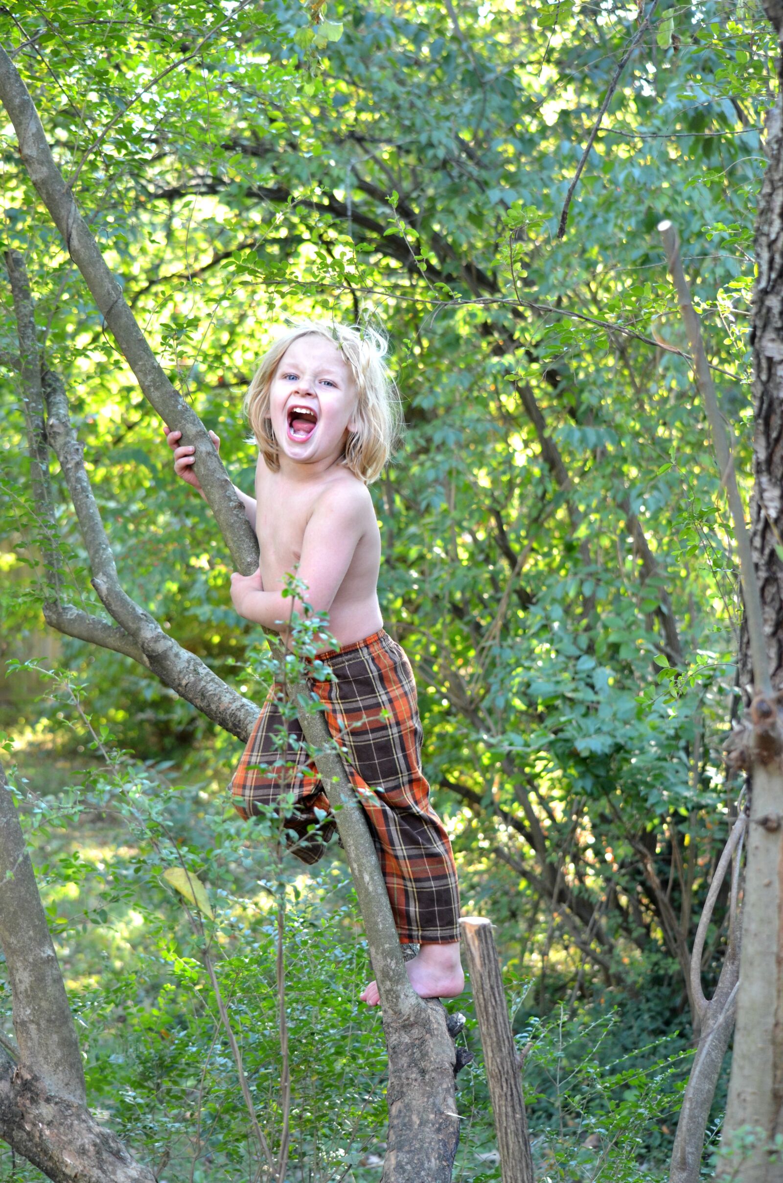 Nikon D5100 sample photo. Climbing, kid, tree photography