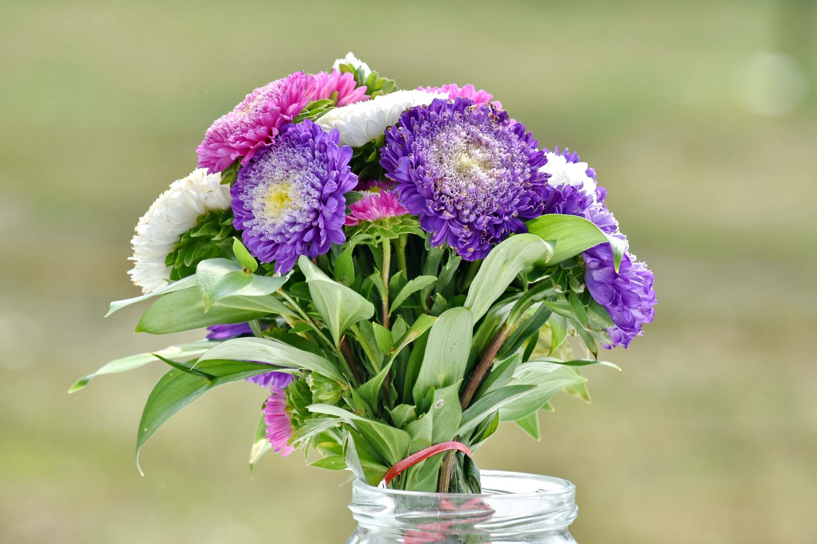 Nikon D5500 sample photo. Arrangement, bouquet, jar, still photography