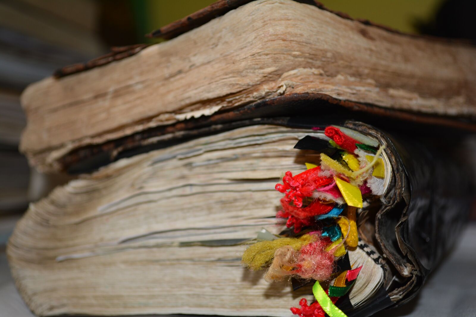 Nikon D5200 sample photo. Bible, book, religion photography