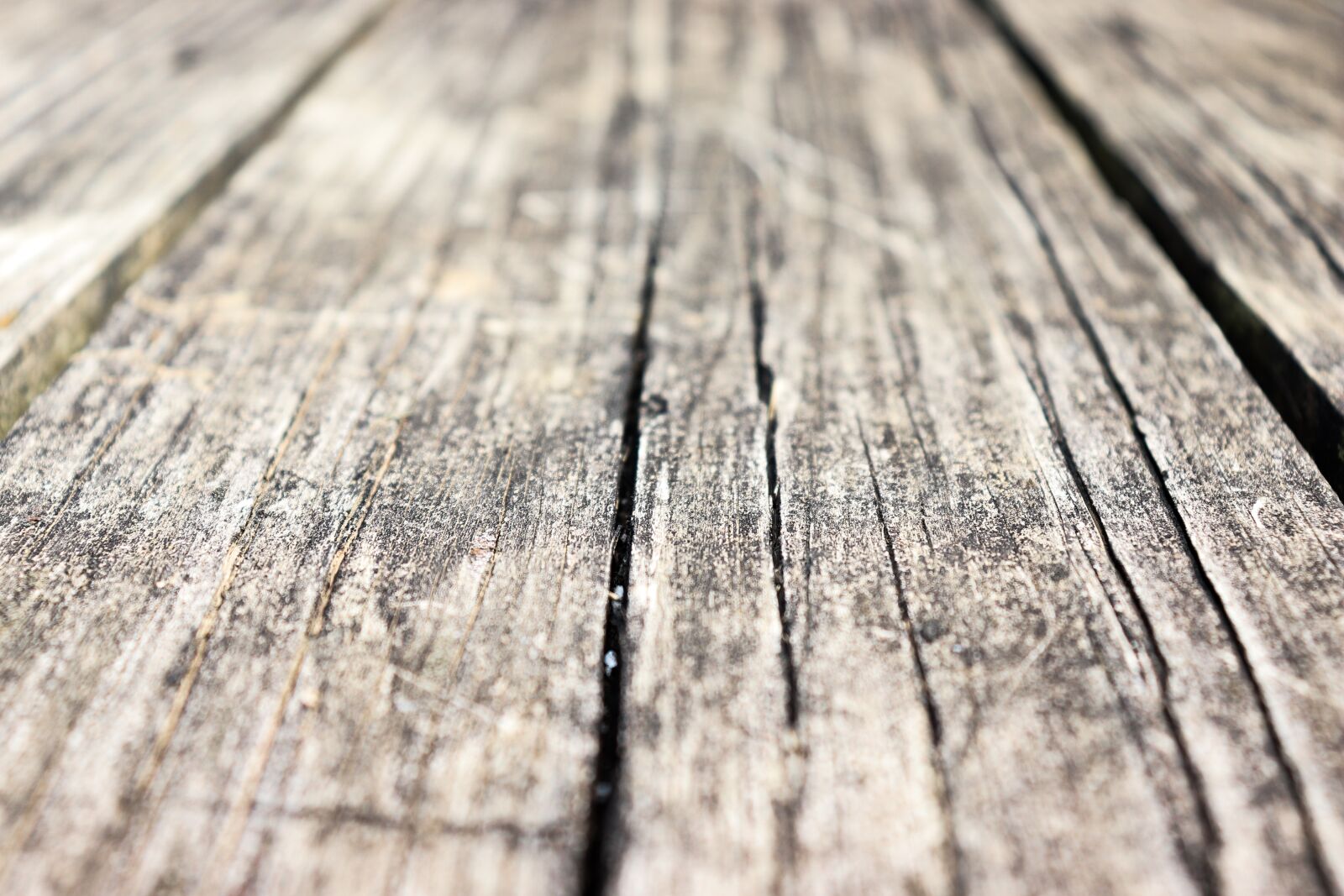 Canon EOS 800D (EOS Rebel T7i / EOS Kiss X9i) sample photo. Wood, texture, pattern photography