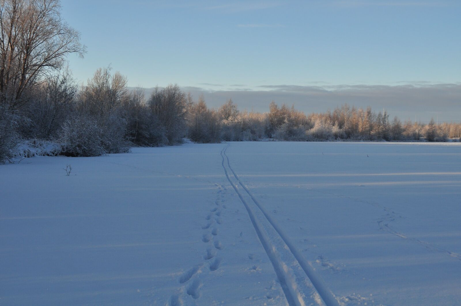 Nikon D90 sample photo. Winter, road, snow photography