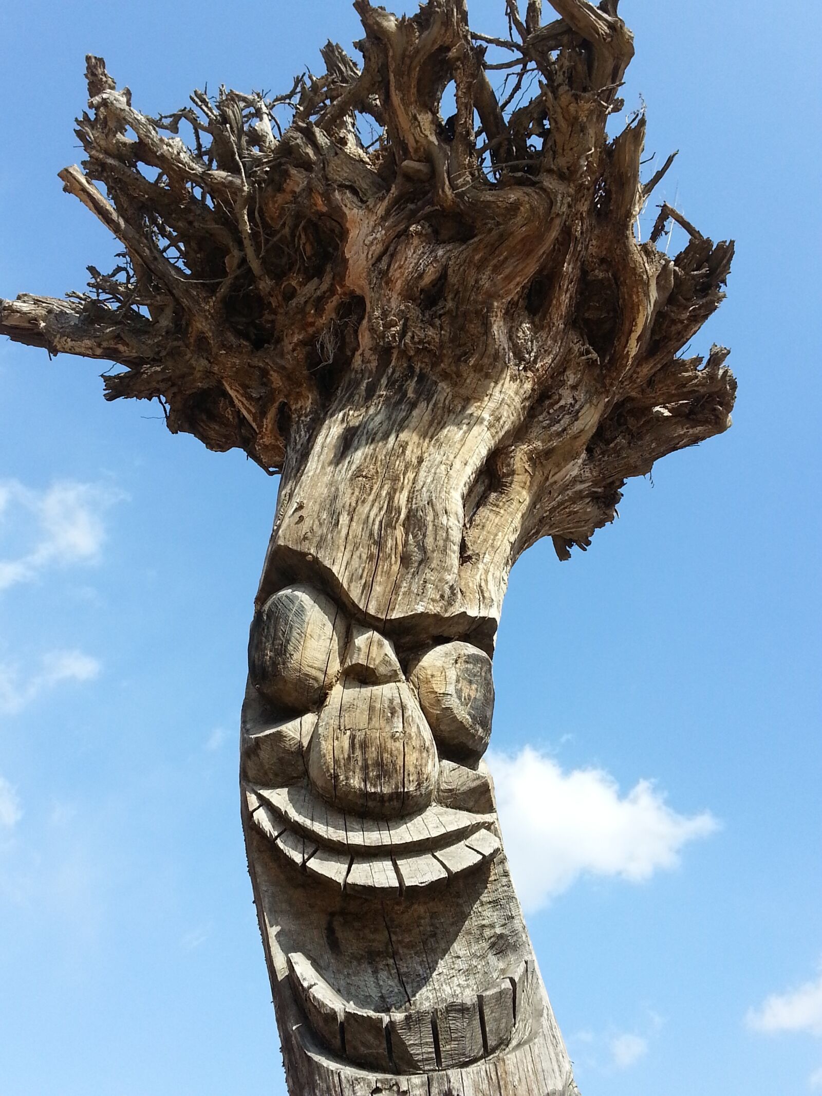 Samsung Galaxy Note2 sample photo. The korean totem pole photography