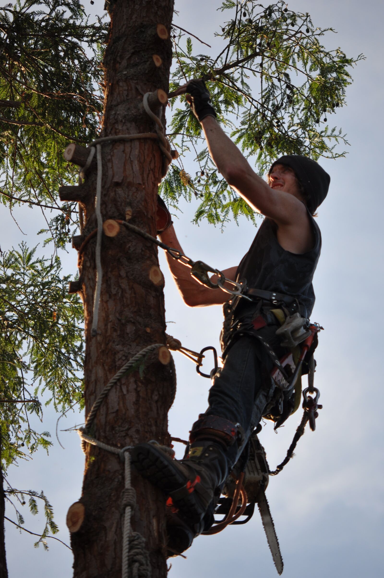 Nikon D90 sample photo. Tree climber, chainsaw, man photography