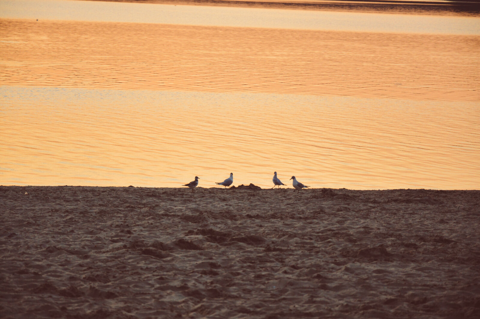 Nikon D3200 sample photo