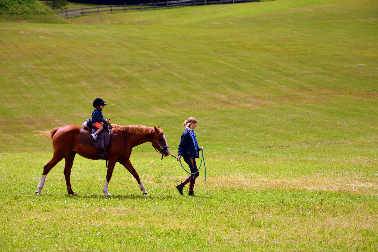 Nikon D7100 sample photo. Horse, horse racing, ride photography