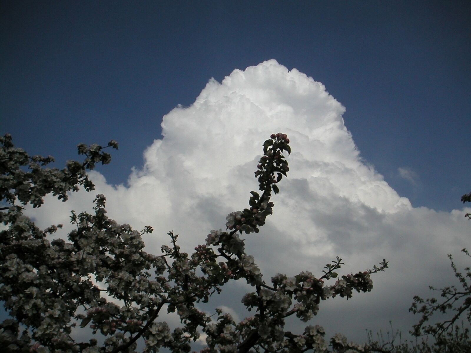 KONICA MINOLTA DiMAGE X sample photo. Clouds, white, cumulus cloud photography
