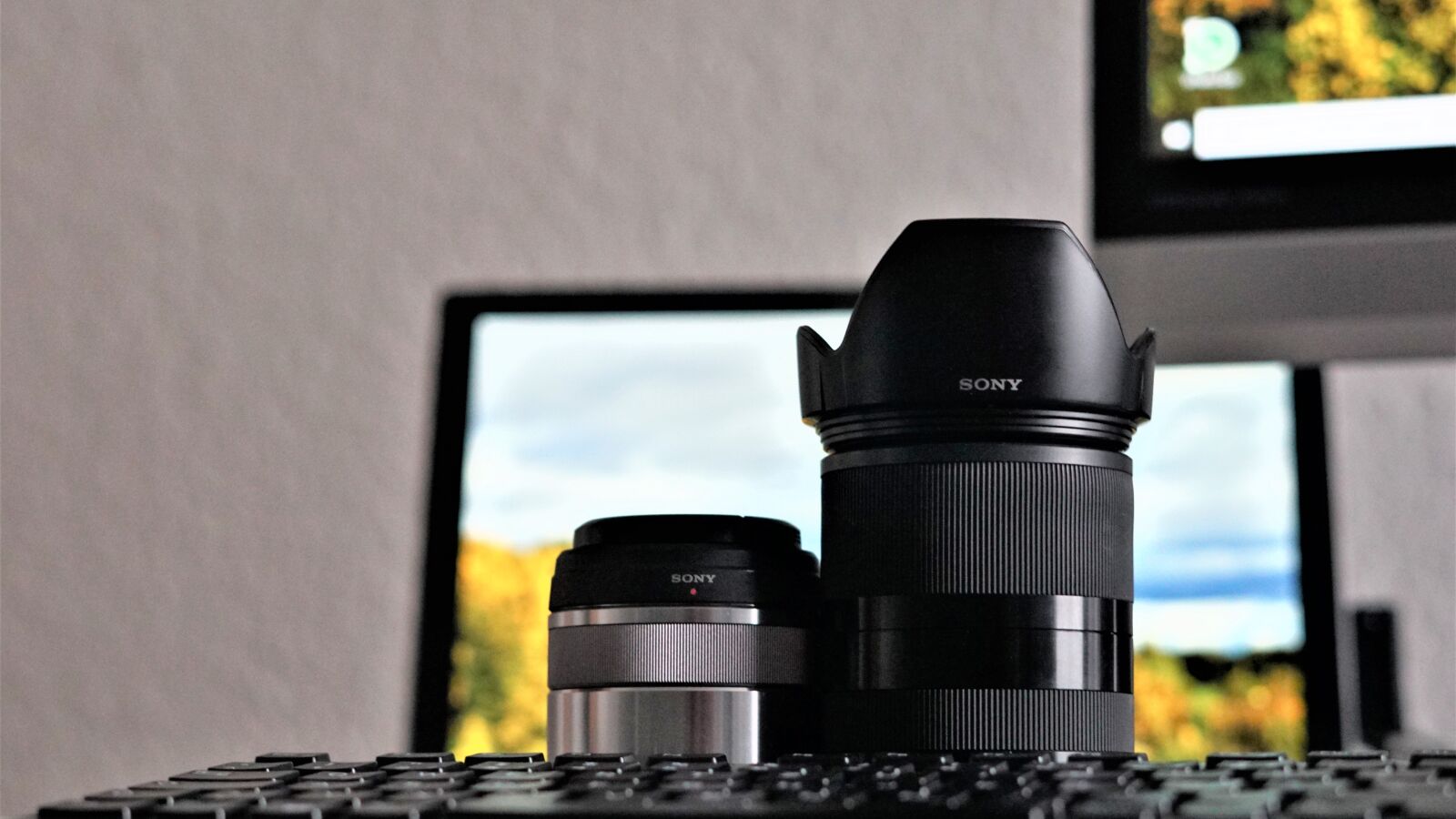 Sony a6000 sample photo. Lenses, background, zoom photography