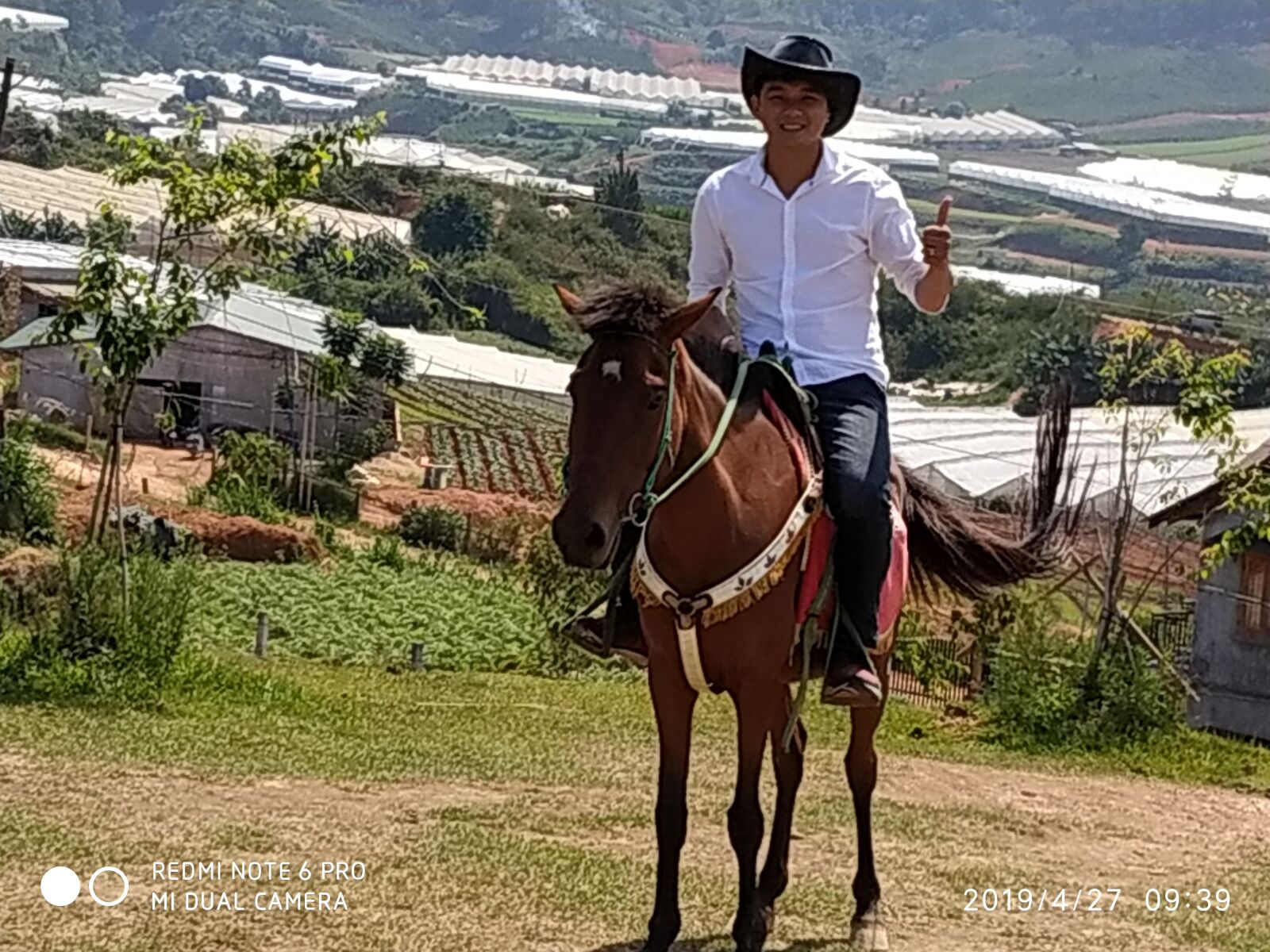 Xiaomi Redmi Note 6 Pro sample photo. Landscape, hills, animal photography