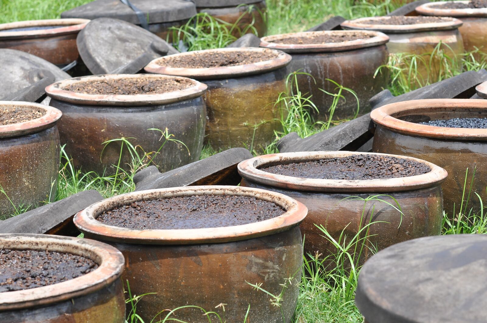 Nikon D90 sample photo. Soy sauce, ferment, food photography