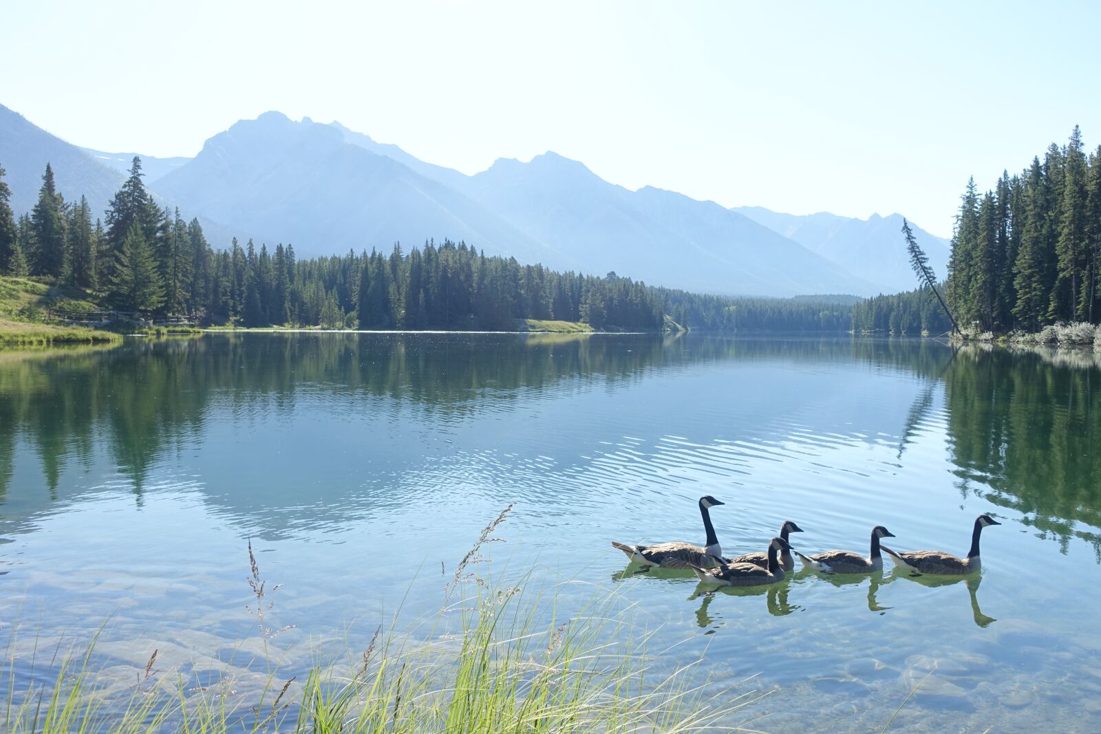 Sony Cyber-shot DSC-RX100 III sample photo. Lake, canada, alberta photography
