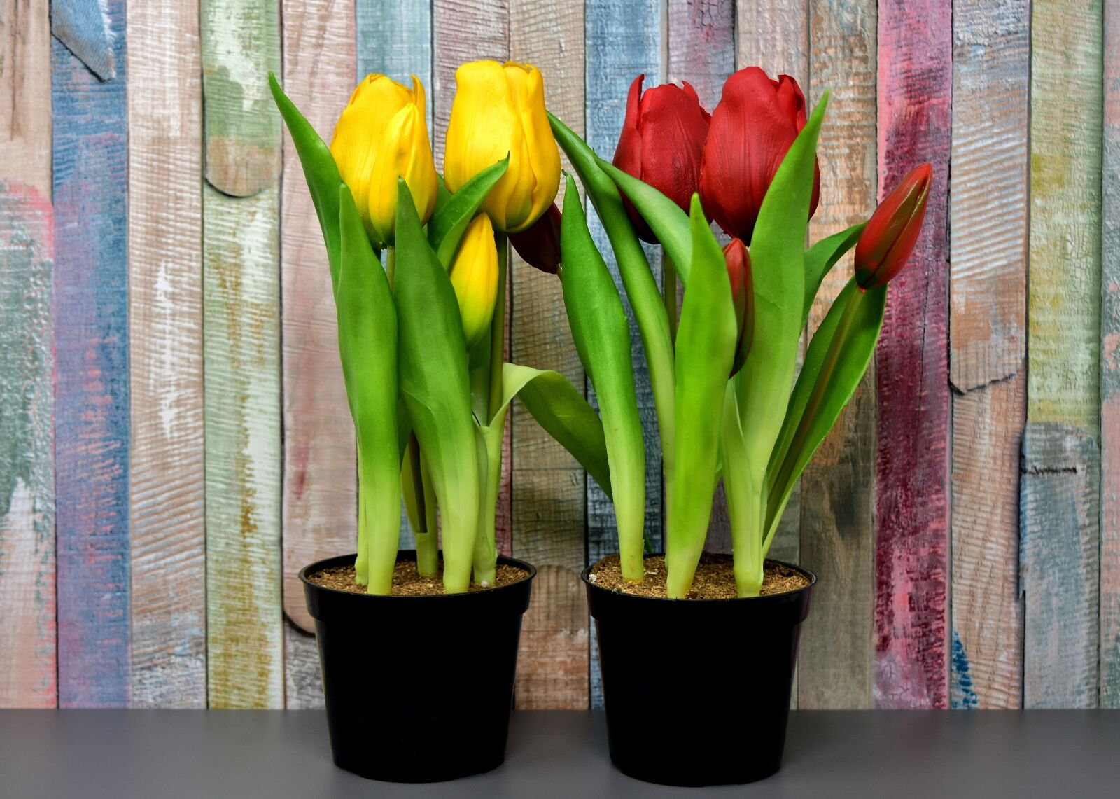 Nikon D7200 sample photo. Tulips, flowers, artificial photography