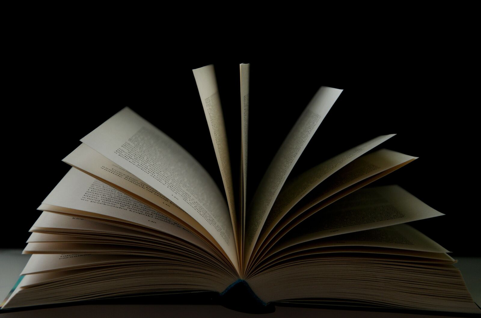 Nikon D5100 sample photo. Nikon free imagines magic photography