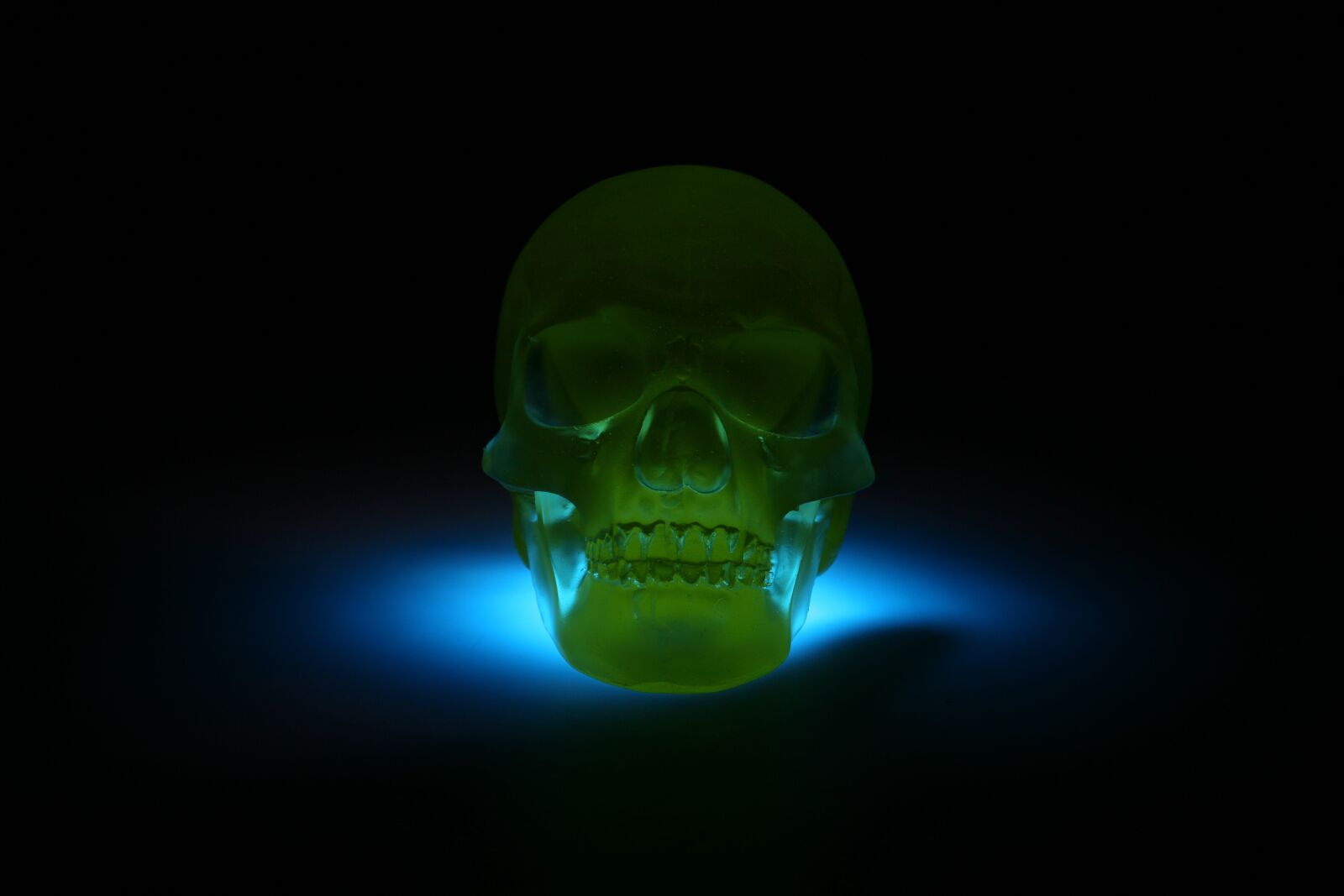 Canon EOS 5D sample photo. Skull, glass, sculpture photography