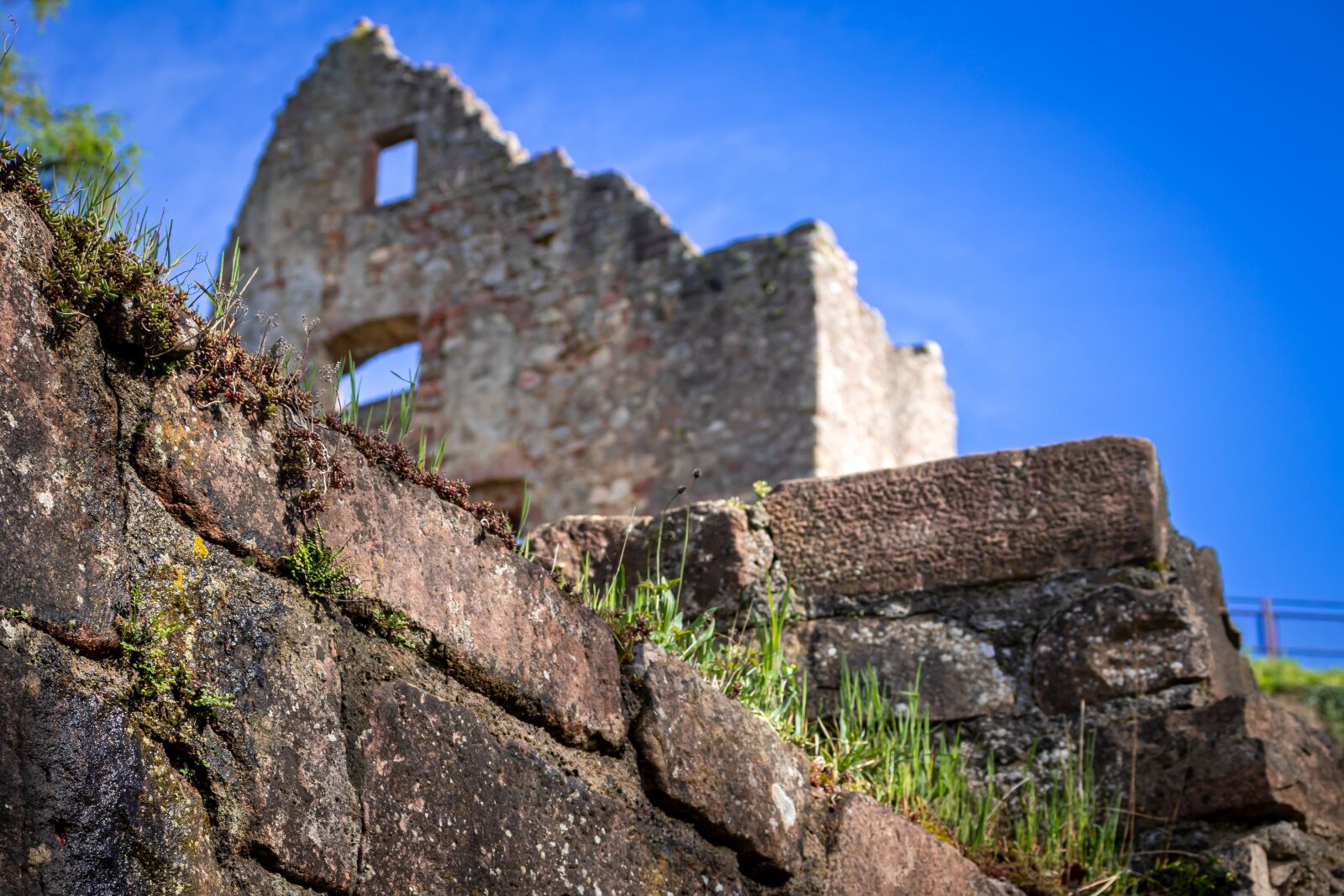 Canon EOS 80D sample photo. Ruin, castle, burgruine photography
