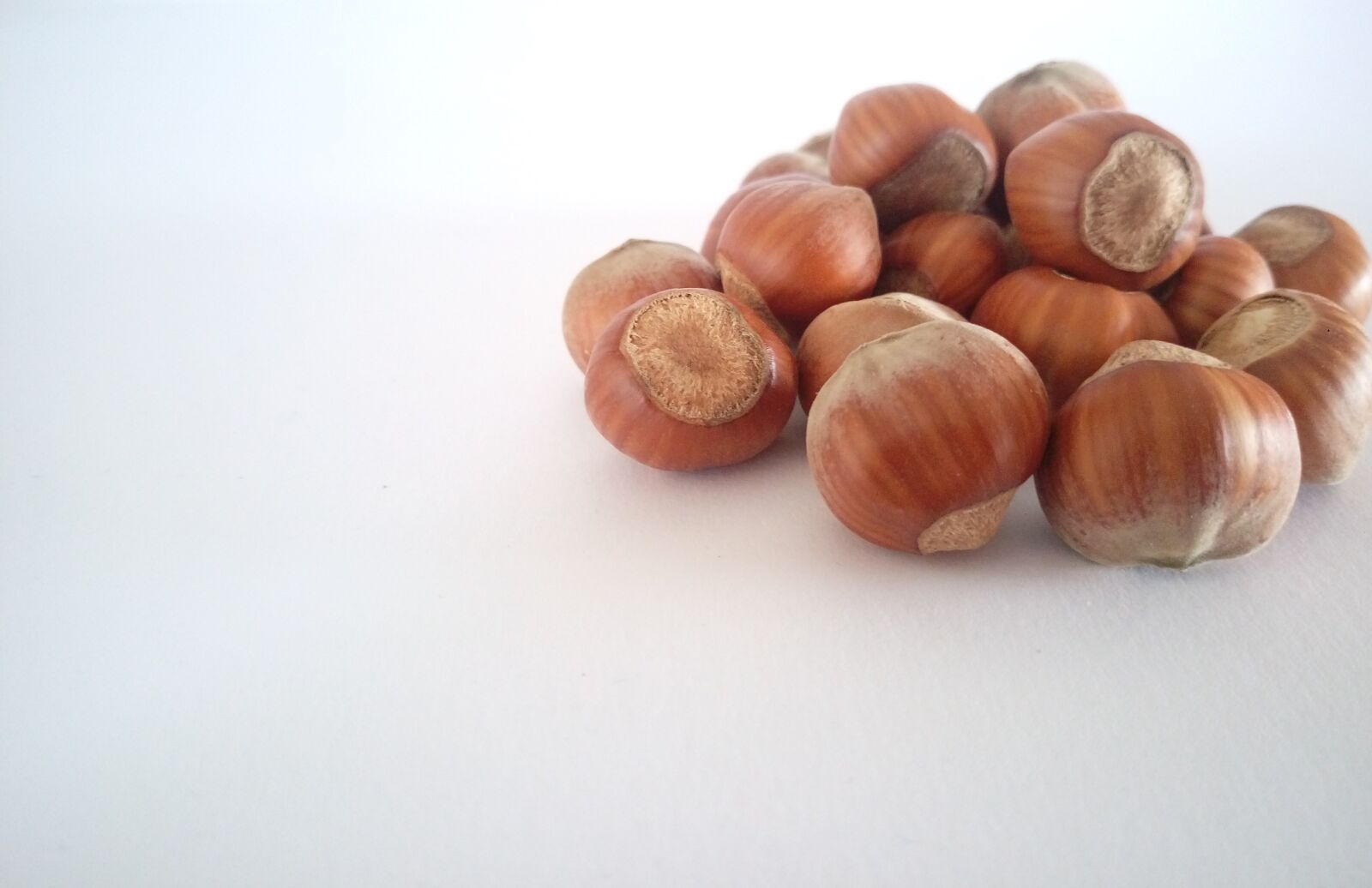 HTC ONE M9PLUS sample photo. Hazelnuts, nuts, food photography