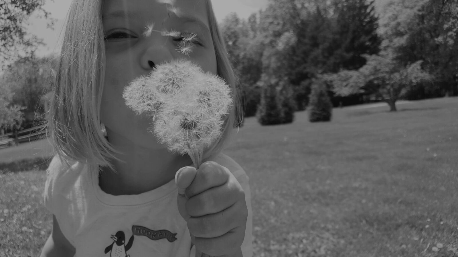 Samsung Galaxy S6 sample photo. Wish, dandelion, little girl photography