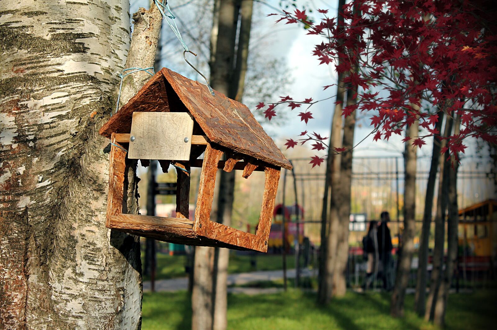 Canon EOS 1100D (EOS Rebel T3 / EOS Kiss X50) sample photo. Feeder, nature, tree photography