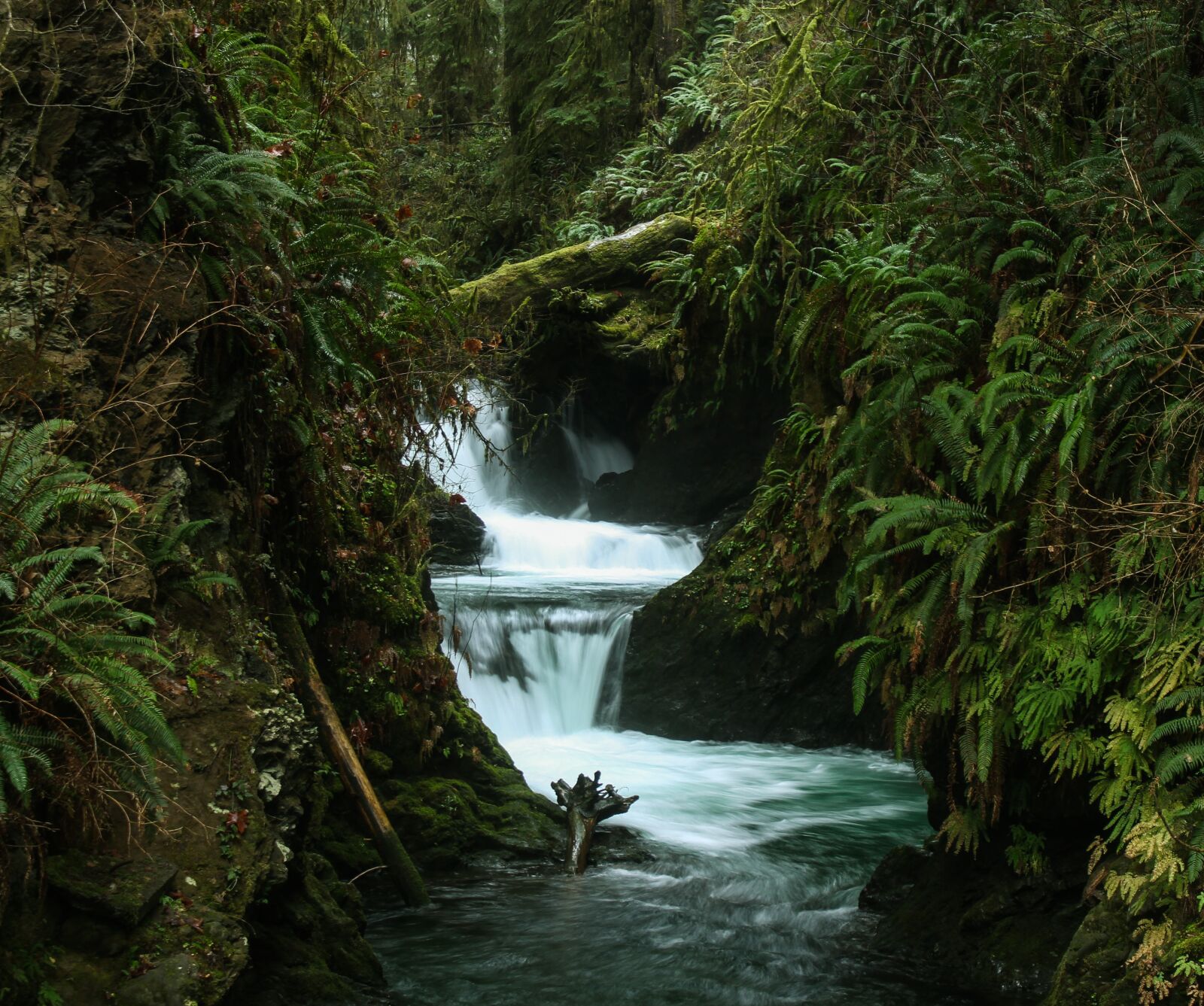 Canon EOS 700D (EOS Rebel T5i / EOS Kiss X7i) sample photo. Waterfall, rain, rainforest photography