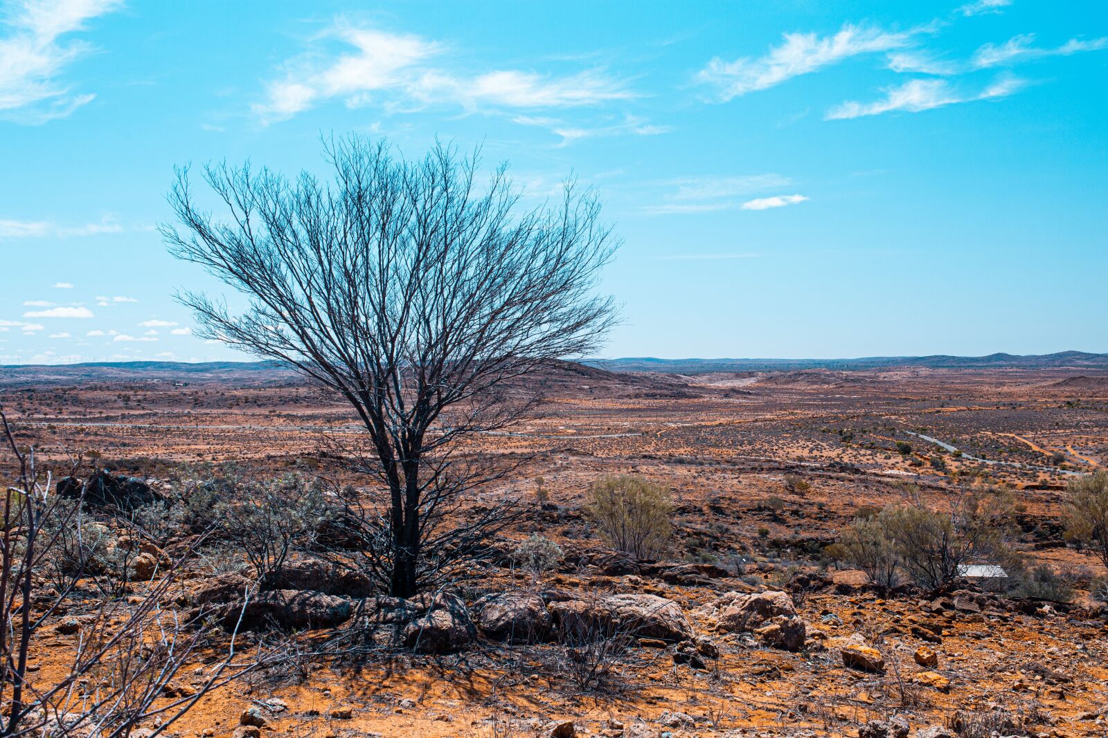 Canon EOS 6D sample photo. Queensland, australia, wild photography