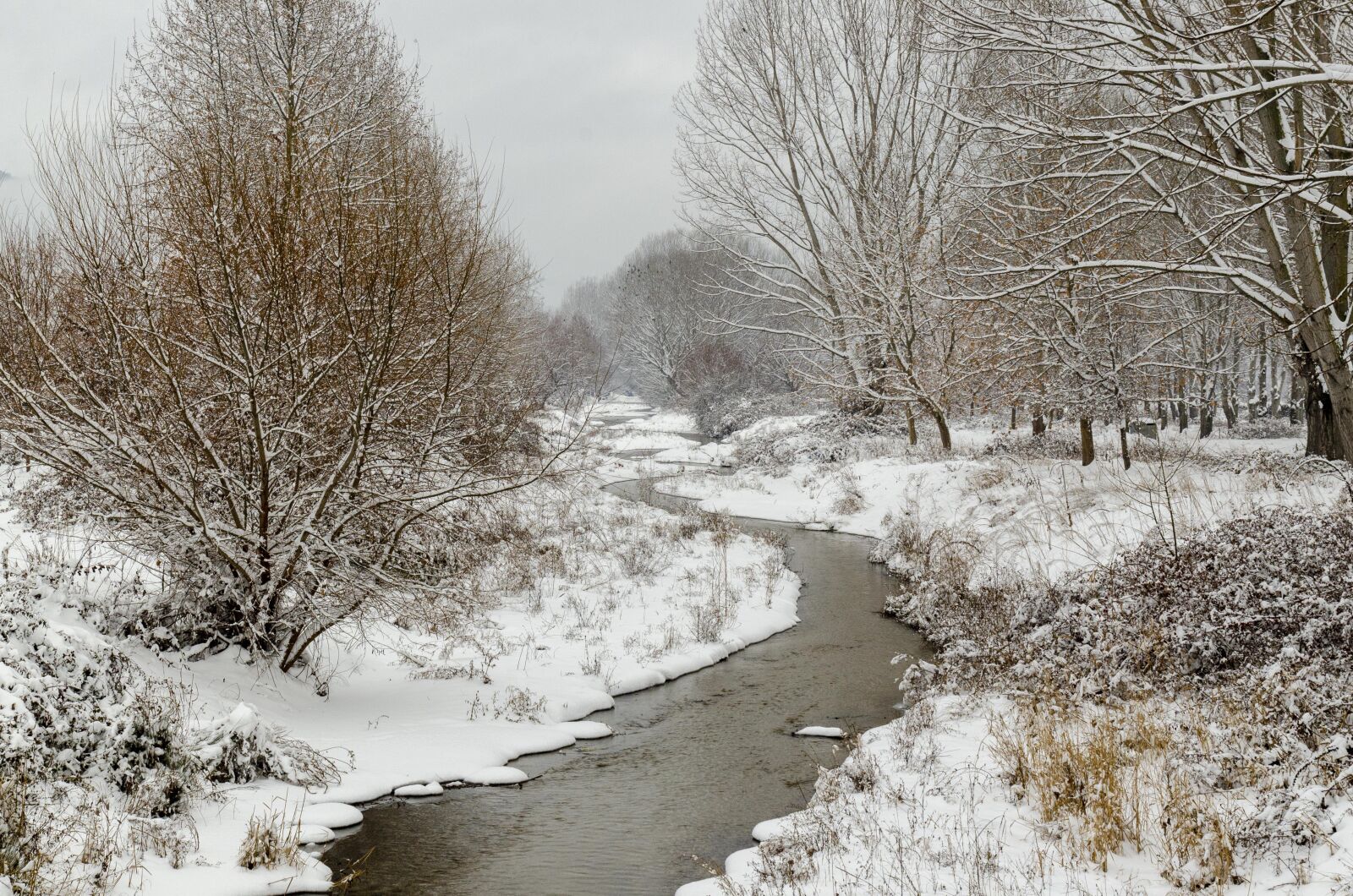 Tamron SP 24-70mm F2.8 Di VC USD sample photo. Snow, winter, people photography
