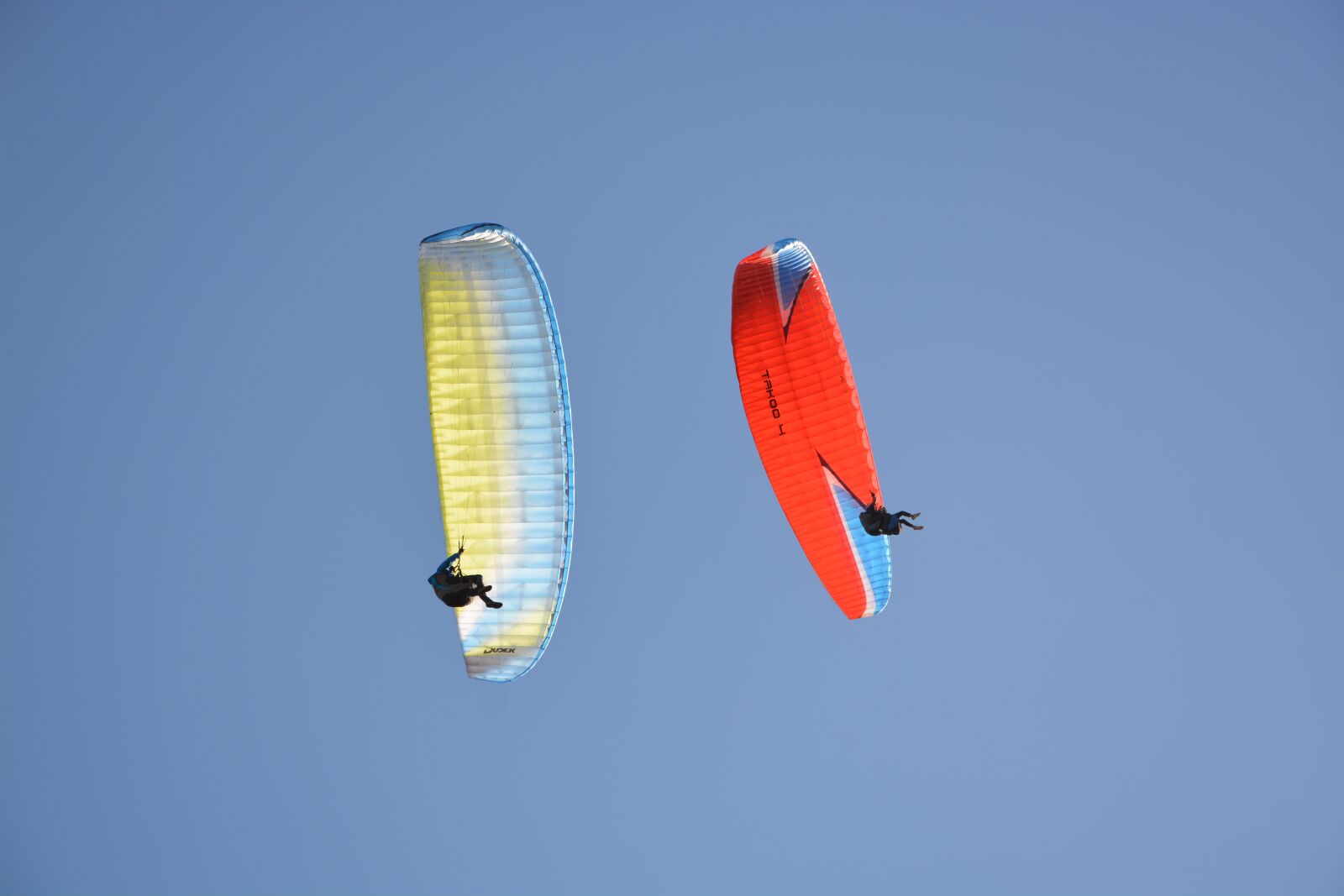 Nikon D5200 sample photo. Paragliders, harnesses, entertainment photography