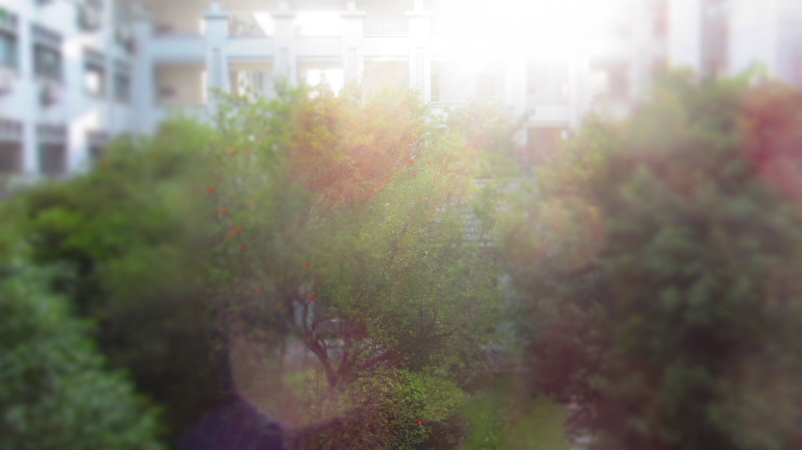 Canon PowerShot SX220 HS sample photo