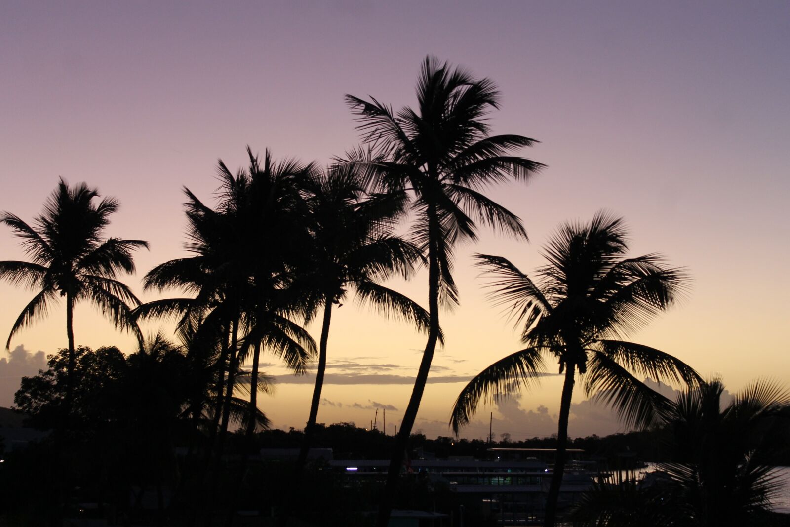 Canon EOS 1100D (EOS Rebel T3 / EOS Kiss X50) sample photo. Sunrise, palm, sky photography