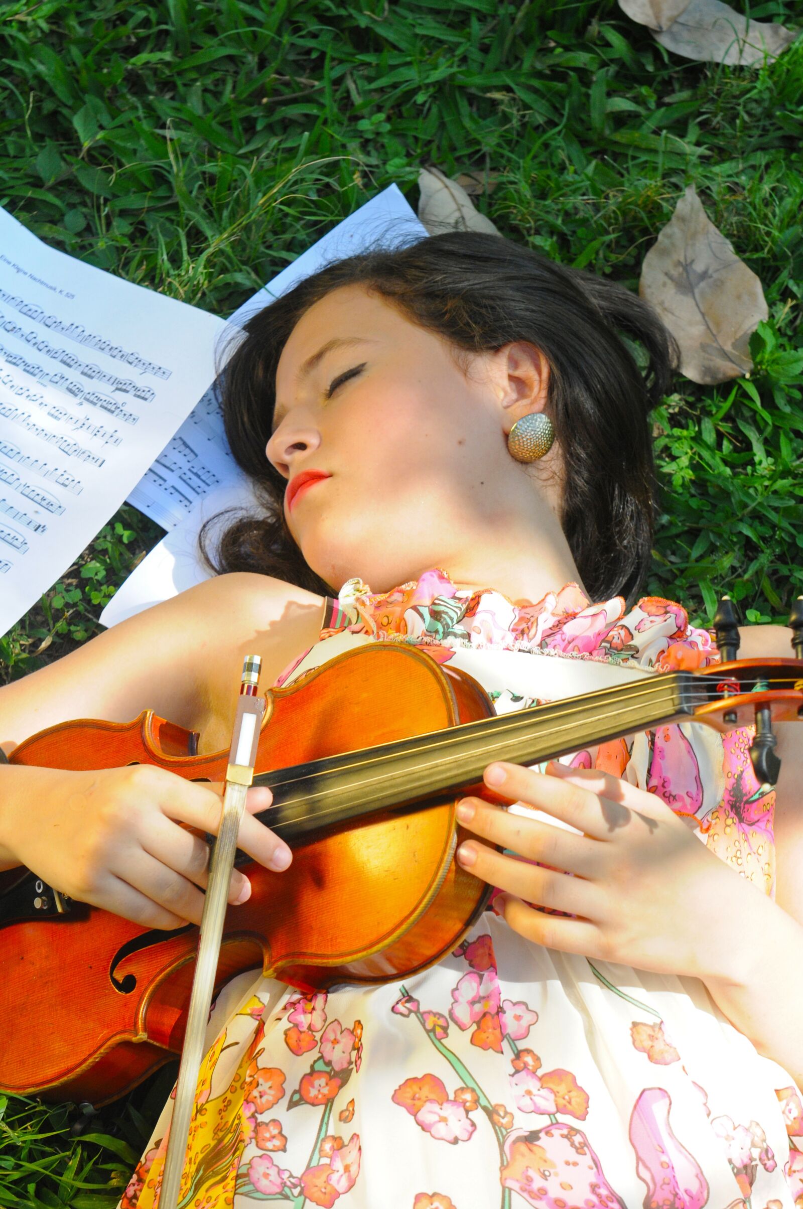 Nikon D300 sample photo. Violin, music, musical instruments photography