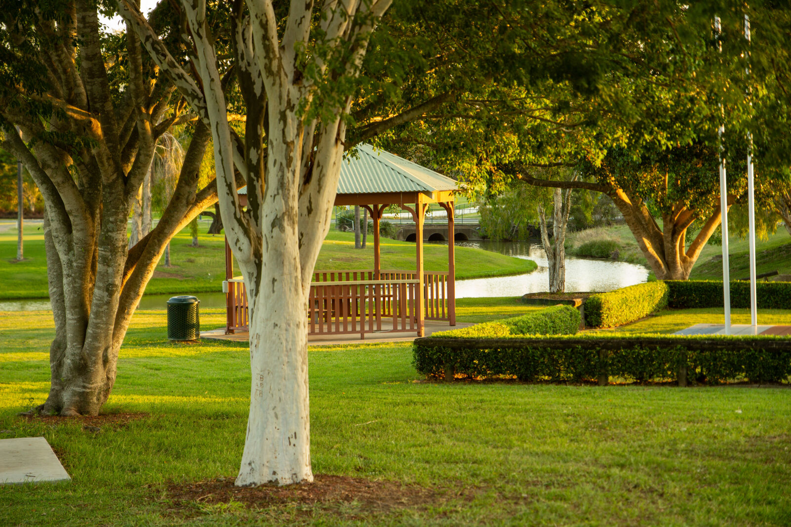 Canon EOS 600D (Rebel EOS T3i / EOS Kiss X5) sample photo. Peace park photography
