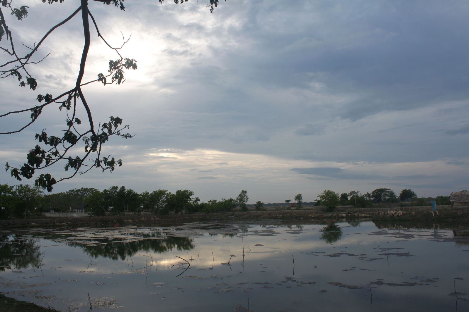 Canon EOS 500D (EOS Rebel T1i / EOS Kiss X3) sample photo. Bangladesh, canal, fisherman, nature photography