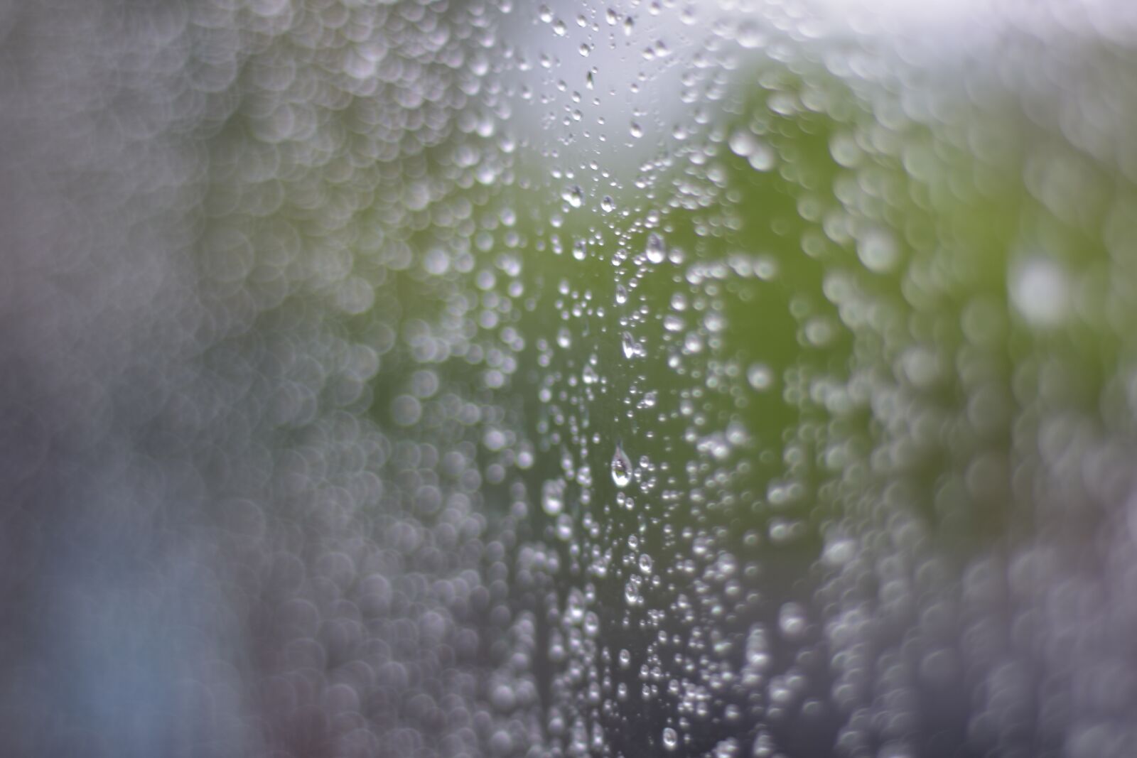 Nikon D7200 sample photo. Drops of water, rain photography