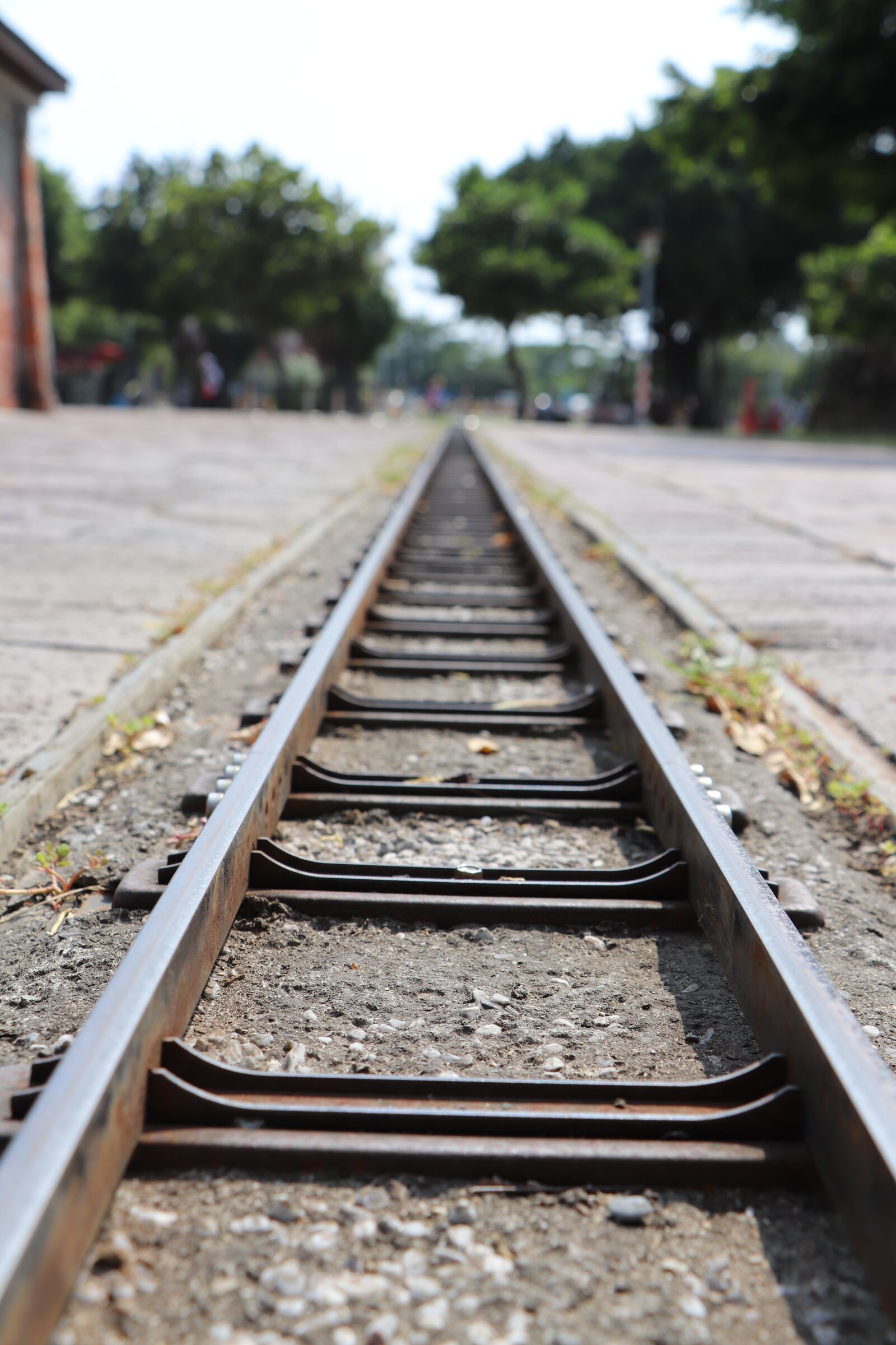 Canon EOS 800D (EOS Rebel T7i / EOS Kiss X9i) sample photo. Railway, see the manual photography