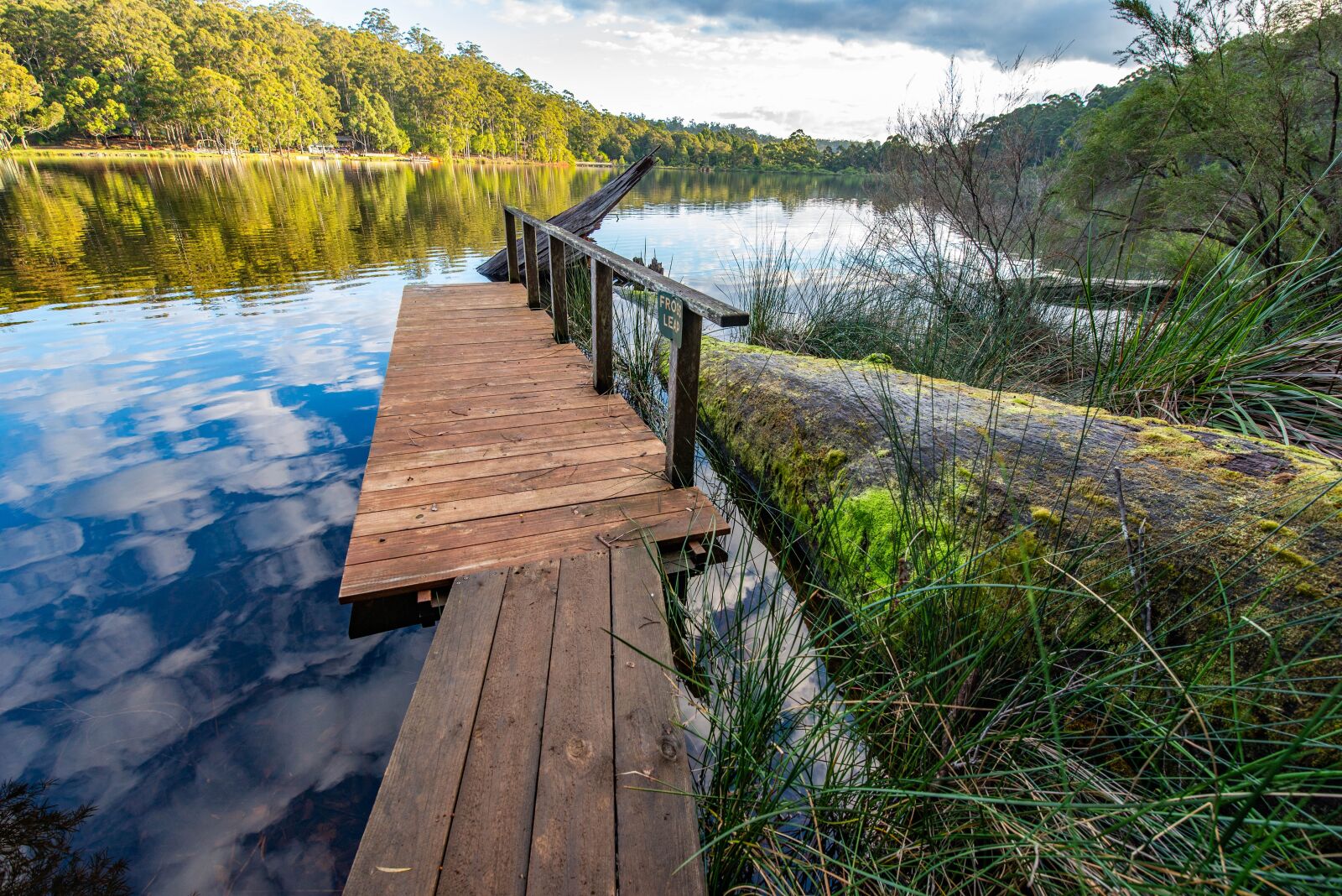 Nikon D610 + Tamron SP 15-30mm F2.8 Di VC USD sample photo. Lake, trees, water photography