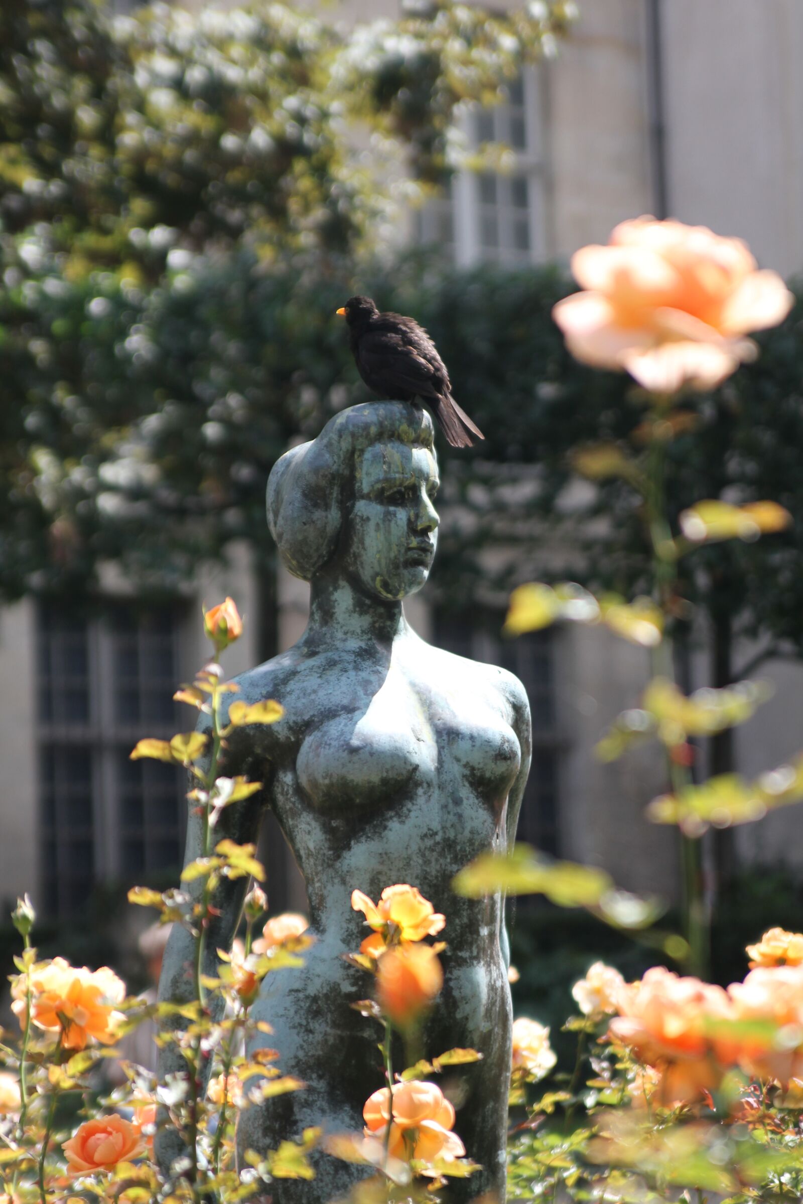 Canon EOS 550D (EOS Rebel T2i / EOS Kiss X4) sample photo. Paris, statue, france photography