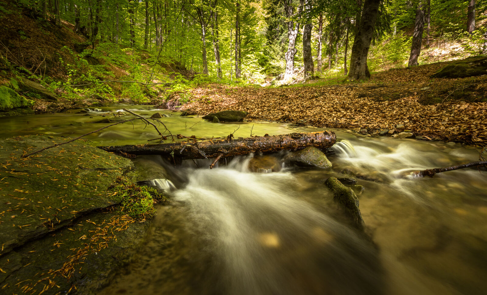 Canon EOS 6D + Tokina AT-X Pro 11-16mm F2.8 DX sample photo. Creek, environment, fall, flow photography