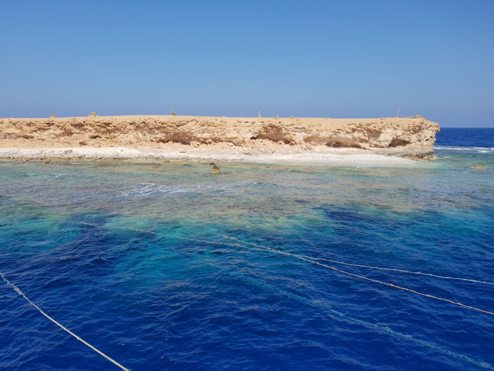 Samsung Galaxy S9 sample photo. Red sea, reef, coral photography